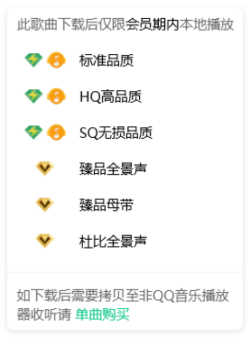 QQ音乐音质选项界面